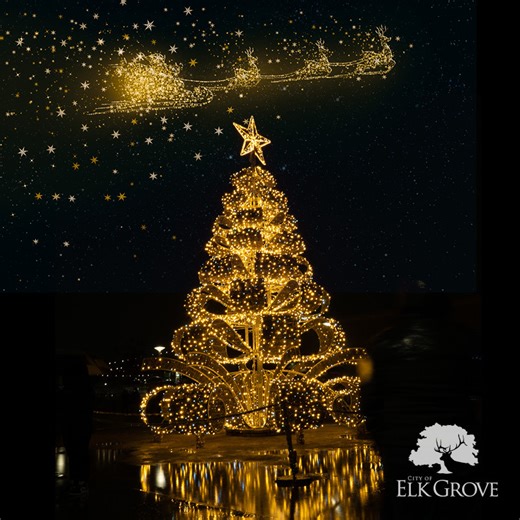 68K views · 993 reactions | And just like that… the tree is lit! ✨ Thanks for kicking off the season with us, Elk Grove. Enjoy the magic all month long! | City of Elk Grove - City Hall | Facebook