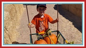 2.4K views · 40 reactions | Starting this FRIDAY! Your kids will be...