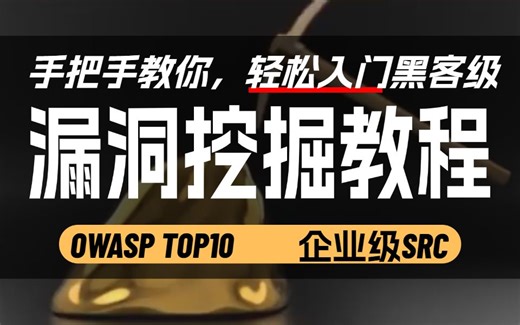 2025年最新！零基础入门SRC漏洞挖掘实战教程，全程干货无废话，手把手教你轻松入门黑客编程