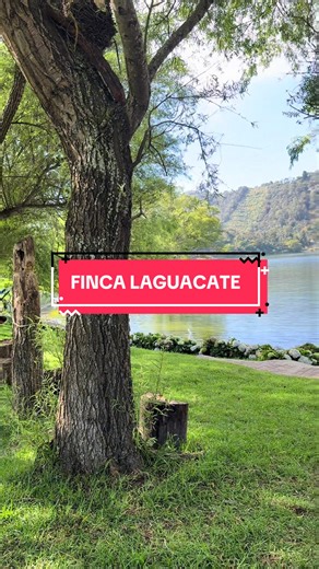 Descubre Finca Laguacate: Naturaleza y Paz en Guatemala