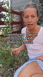 120K views · 10K reactions | Ok I'm sorry I haven't processed my...