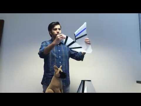 Demonstration: VetOne Easy Fit Velcro Elizabethan Collars