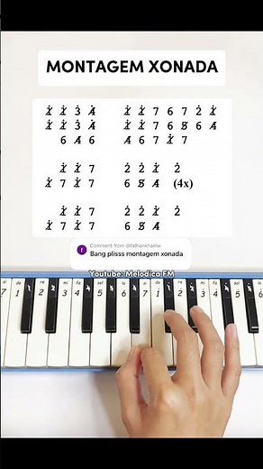 Montagem Xonada #tutorial
