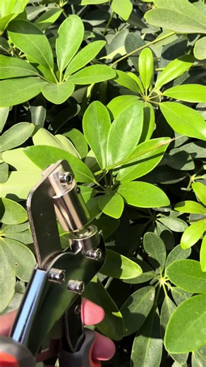 Creative Use of Grommet Tools in Art