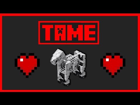 🟥 HOW to TAME and BREED a SKELETON HORSE - Minecraft Bedrock & Java