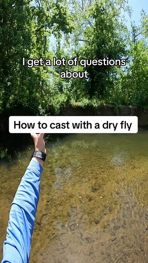 Mastering Dry Fly Fishing: Tips and Techniques for Success
