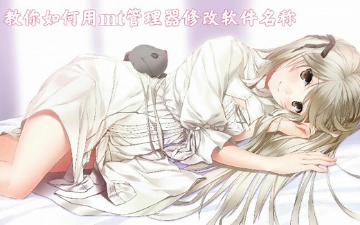 【MT管理器基础教程】教你如何简单高效的对apk文件(软件)的名称进行修改[免root]视频教程思路清晰，简单易学，快来康康叭