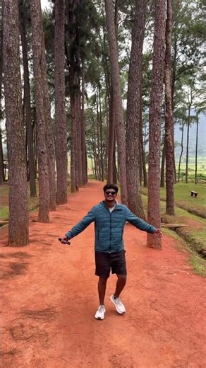 అరకు Pinery అసలు ఇంత అందంగా ఉంటుందా? 😍🌲 #travel