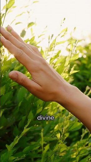 Roch Thériault: The Cult Leader Who Shocked the World