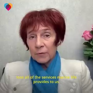 10K views · 14 reactions | A new project is building coral reefs to protect coastal communities and create new life under the sea. https://cbsn.ws/3N8wA1I | The Uplift | Facebook