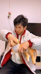 Funny pets #funny | 123 GO Challenge