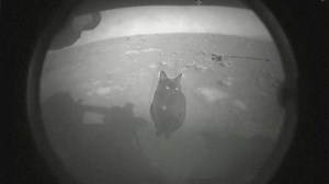 88K views · 6.2K reactions | La NASA conferma Avvistato Gatto su Marte ecco il video.I Gatti alla conquista dell'universo condividi e aiutaci nella missione. #nasa #perseverance #mars #federicosantaiti | Federico Santaiti | Facebook