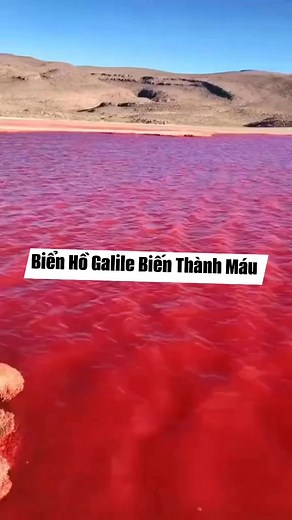 49K reactions · 10K shares | Khải-huyền 16:4. Vị thiên sứ thứ ba trút bát mình xuống các sông cùng các suối nước, thì nước biến ra huyết. | Jenny Tuyet Mai Tran | Facebook