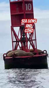 Another Beautiful Day at the River – Buoy 10 Fishery