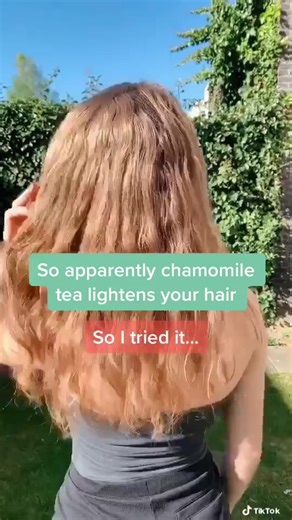 Chamomile Tea Hair Lightening Experiment Success!