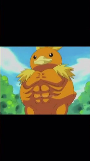 may imagines if her torchic evolves