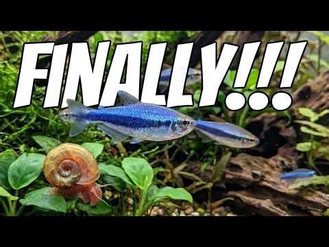 It's Finally Happening!!