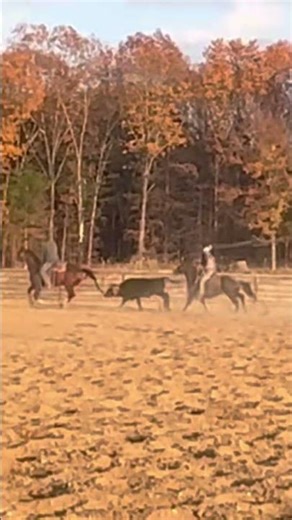 Team Roping #Jesus#classicropes