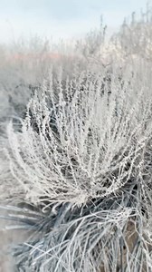 📍Piedras Marcadas Canyon, Petroglyph National Monument This 1.4 mile trail, located in Albuquerque, promises stunning Sandia Mountain views and hundreds of petroglyphs. It’s mostly flat, and marked as easy to moderate. Try it out today! ✨ | Visit Albuquerque