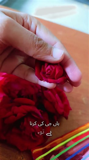 Don't think log kia kahain gay #minivlog #aftersukoon #goviral #flowers