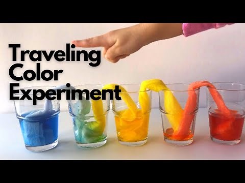 Walking Colors science experiment for kids\Fun experiment for kids using paper towels