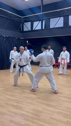 20 reactions · 43 shares | Sensei Lee Smith showing what true Ishinryu spirit looks like. #IshinryuKarate #Ishinryu #KarateLife #MartialArtsUK #KarateDo #KarateFamily #KarateKids #BrentwoodKarate #DojoLife #KarateJourney #SenseiLife #KarateTraining #DisciplineAndRespect #KarateCommunity #MartialArtsTraining #KarateInspiration #KarateFitness #KarateClasses #KarateInstructors | Ishinryu Karate Academy | Facebook