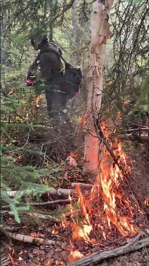 "Fire On the Ground" - Drip Torch Operations on the Nenana Ridge Complex in Alaska 2025