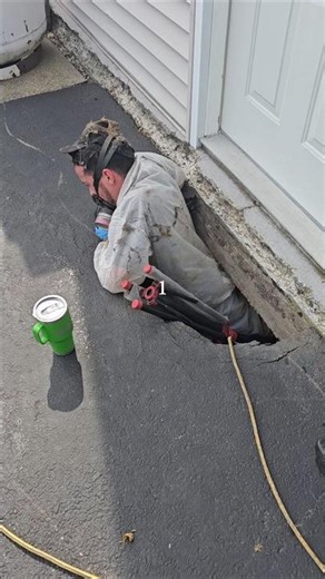 What makes a pest control company truly trusted in Shrewsbury... #shorts #pestcontrol #massachusetts