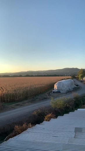 Videos de Marcela Montes (@marcelamontes91) con “original sound - Corridos Chingones”