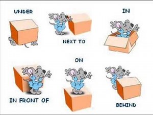 Where is the mouse? Learn prepositions!
