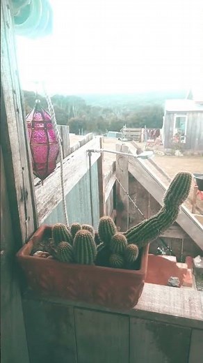 much love. #dutchsinse