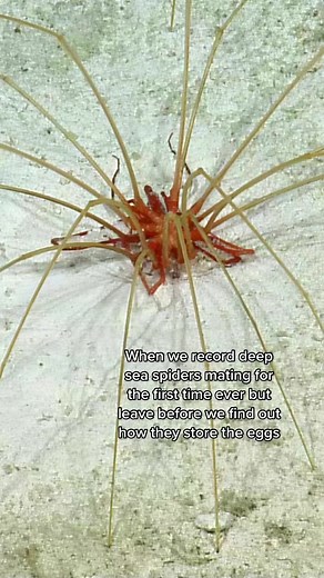 Exciting Marine Biology Discoveries Await!