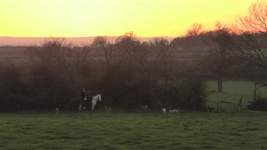 The huntsman falling in a ditch | North Dorset Hunt Saboteurs