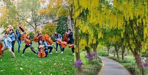 "Bridgerton" vibes at Vandusen as botanical garden hosts concert this month | Events