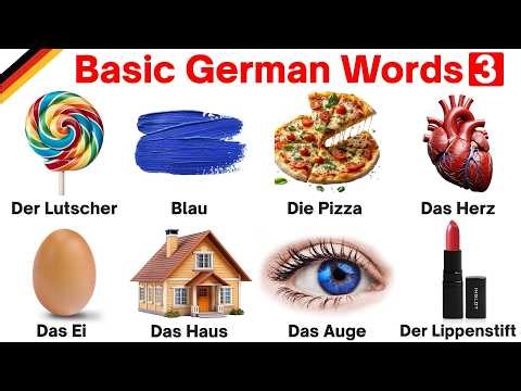 Basic German Words | German Words for Everyday Life | German Vocabulary | Learn German for Beginners