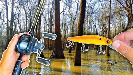 Secret bait modification catches ten times more bass