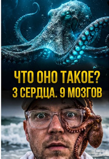 Завтра уже наступило. Не проспи !!! #животные #осминог #море #наука #нло