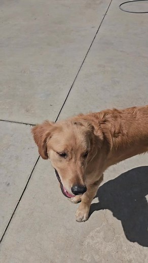 Kimberly Clark (@kimberlyclark78)’s videos with original sound - Kimberly Clark