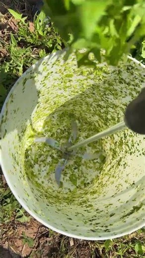 DIY Bucket Chopper| Quick Way to Chop Greens for Livestock #farming #cuttingskills