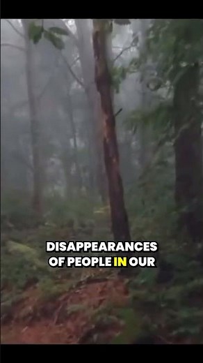 The connection between Sasquatch and missing 411 cases