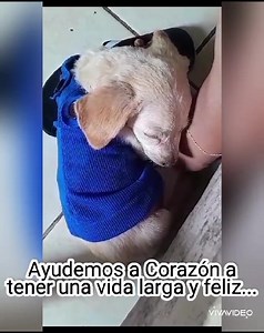 17 reactions · 25 shares | Caso externo urgente  AYUDA GUAYAQUIL ...