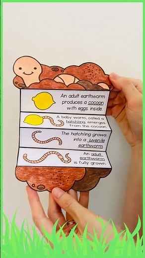 Earthworm life cycle foldable science craft activity for kids