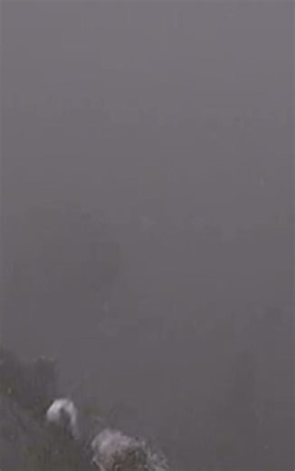 🫧 #fishing #fishinglife #fishtok #bassfishing #catfish #outdoorboys #country #fyp #foryoupage #trending #fishclippers #fishclips #spongebob #patrick