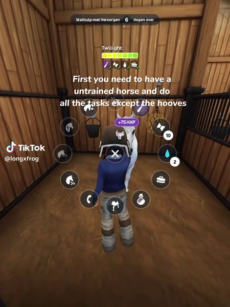 Star Stable Online Guide: Tips for Beginners