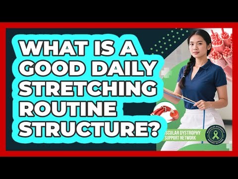 What Is A Good Daily Stretching Routine Structure?