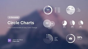 Circle Graph Infographics