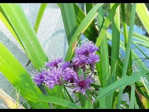 Sunday Morning Worship Service | April 5, 2026 | Good Shepherd Baptist Church