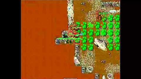 Tibia with Sound Effects - The Old Widow-0