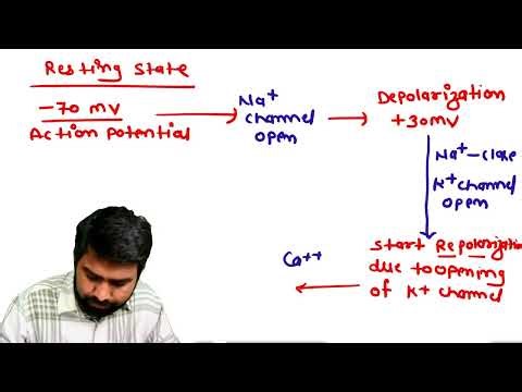Pharmacology of Cardiac Arrhythmia | Antiarrhythmic Drugs Explained Simply
