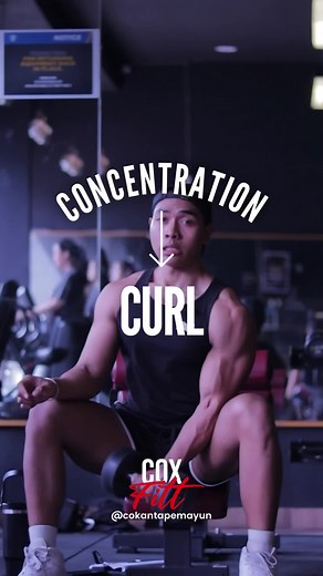 Bicep Concentration Curl: Improve Bicep Strength and Size
